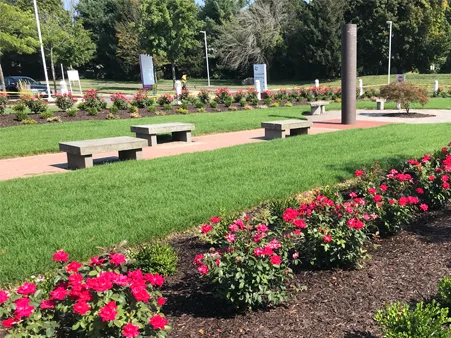 Commercial Landscaping by Custom Exterior Landscape