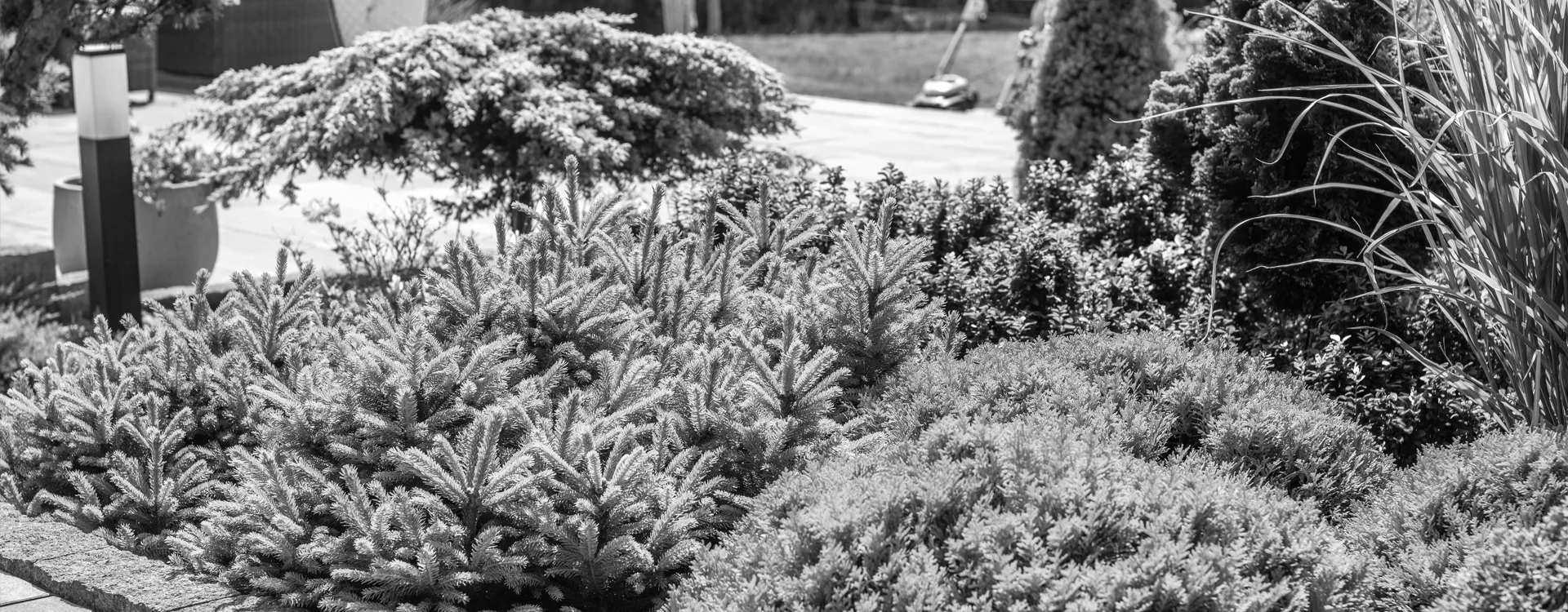 Commercial Landscape background from Hartford CT facility